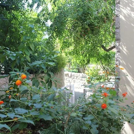 Boris Zaton (Dubrovnik-Neretva)