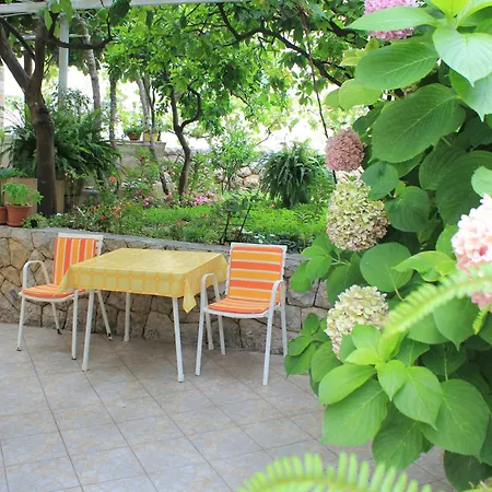 Boris Zaton (Dubrovnik-Neretva)